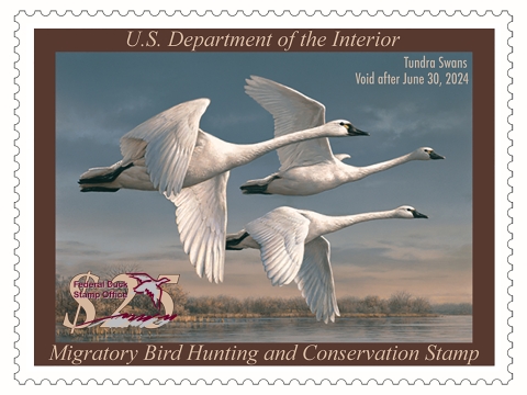 License Duck Stamps or Junior Duck Stamp Imagery U.S. Fish